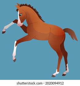 Little cute foal is jumping. Pinto. Isolated vectal illustration. Cute character. Equestrian jumping training.