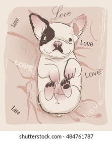 little cute glamour bulldog 