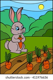 Little cute hare sits in the grass and looks at the carrots.