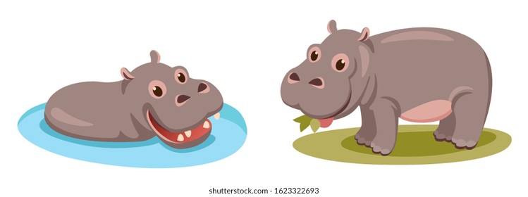 Little cute hippo bathes in water, eats greens in a clearing.