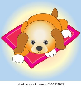 A little cute home puppy resting on the rug.
