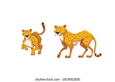 Little Cute leopard vector illustration isolated on white background