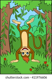 Little cute monkey stands upside down and smiles.
