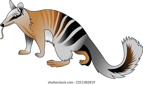 Little cute numbat sitting and smiling, vector