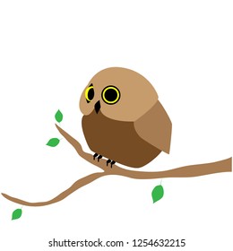 Little cute owl on a tree branch