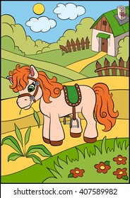 Little cute pony stands on the field and eats grass.