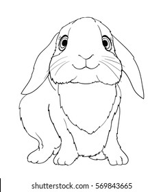 64 Cute Bunny Coloring Pages Free Best