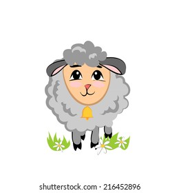 little cute sheep