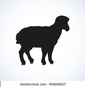 Little cute sheep standing in profile isolated on white background. Dark hand drawn picture sketch in art retro engraving style. Side view with space for text