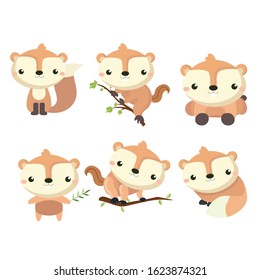 Little cute squirrel in different poses.
