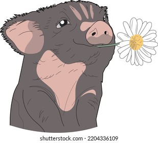 Little cute striped pig with chamomile. Cartoon character. Children's book illustration. Vector