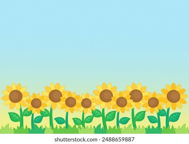 Kleines süßes Sonnenblumenfeld mit sternenblauem Himmelshintergrund, Vektorillustration