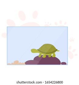 Little cute turtoise in terrarium. Animal with carapace. Adorable small green turtle. Isolated vector illustration in cartoon style