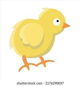 Little Cute Vector Yellow Color Chicken Stock Vector (Royalty Free ...