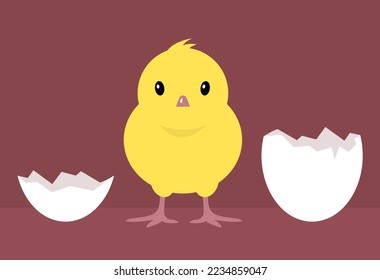Little cute yellow chickhen and egg shell. Poultry, farming. decorative element. Domestic bird. Flat vector isolated illustration