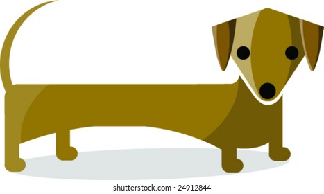 Little dachshund