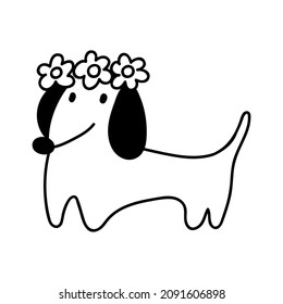 Little dachshund with flowers in his head. Spring season. Vector outline illustration on white background.  