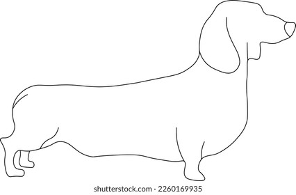 Little Dachshund white Vector Image 
