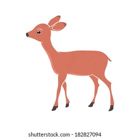 A little deer cartoon