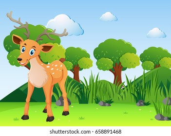 Little deer in the forest illustration