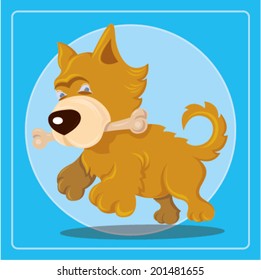 Little dog