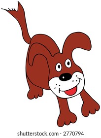 Little dog
