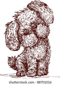 Little dog