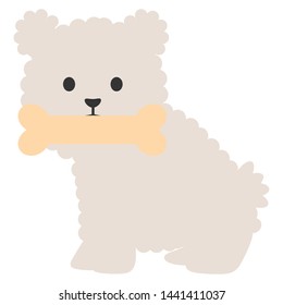 little dog adorable with bone
