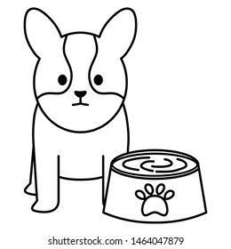 little dog adorable with dish water