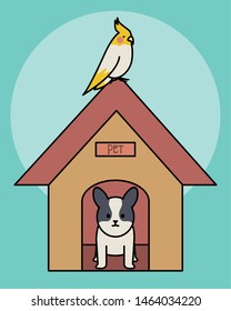 little dog adorable with wooden house and bird