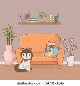 little dog and cat mascots in the house room