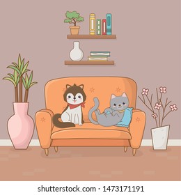 little dog and cat mascots in the house room