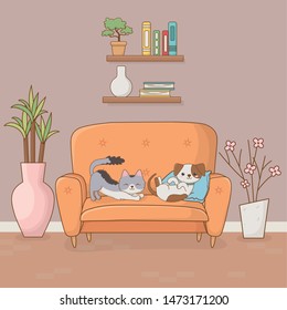 little dog and cat mascots in the house room