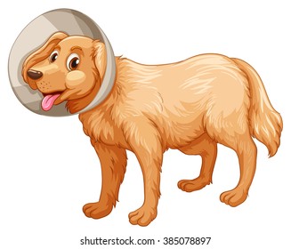 Little dog with collar illustration