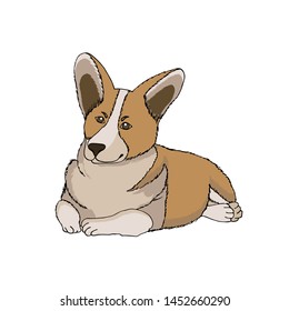 Little dog corgi lying on his stomach. Puppy folded paws and loyally looks. Stock Isolated vector illustration on white background. Hand drawn style. Design for bag, poster, cloth, book, pet shop.