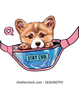 little dog corgi in pink waist bag illustration. Sticker on the wall. Stay cool lettering