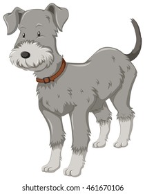 Little dog with gray fur illustration