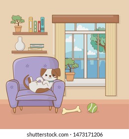 little dog mascot in the house room