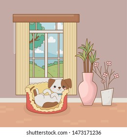 little dog mascot in the house room