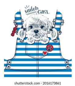 Little dog peeks out of a striped jumpsuit. Sea vector illustration. Print for t-shirt.