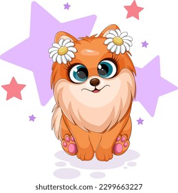 Little dog, pomeranian spitz with flowers on head, stars, funny card