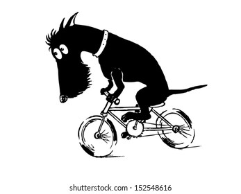 Little dog riding a bicycle