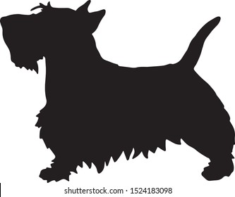 Little Dog silhouette isolated on white background