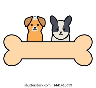 little dogs adorables with bone