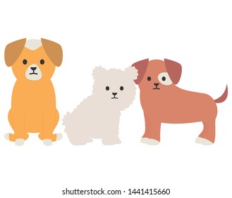 little dogs adorables mascots characters