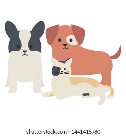 little dogs and cat adorables mascots characters
