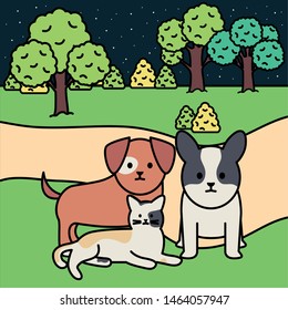little dogs and cat in the park