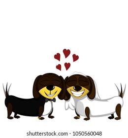 Little dogs - Lovely little dachshunds in love (just married)