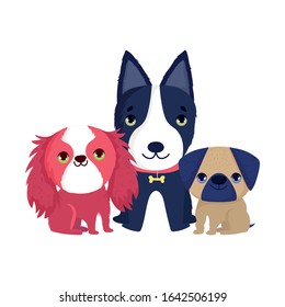 little dogs sitting canine domestic cartoon pets vector illustration