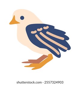 Little domestic chicken vector illustration